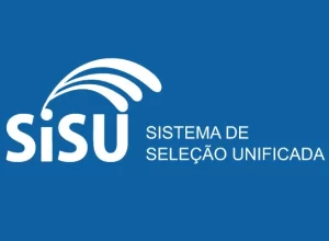 1-sisu