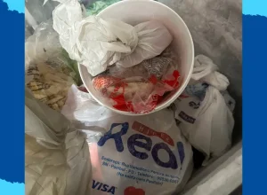 Policia-Civil-investiga-se-pizza-de-carne-de-sol-n0021693900202603182027-8