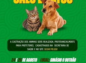 animais