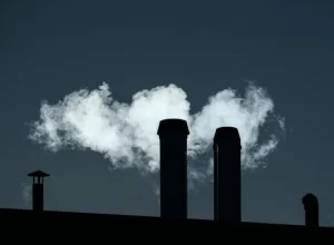 pexels-francesco-ungaro-19265072-1-800x500-1